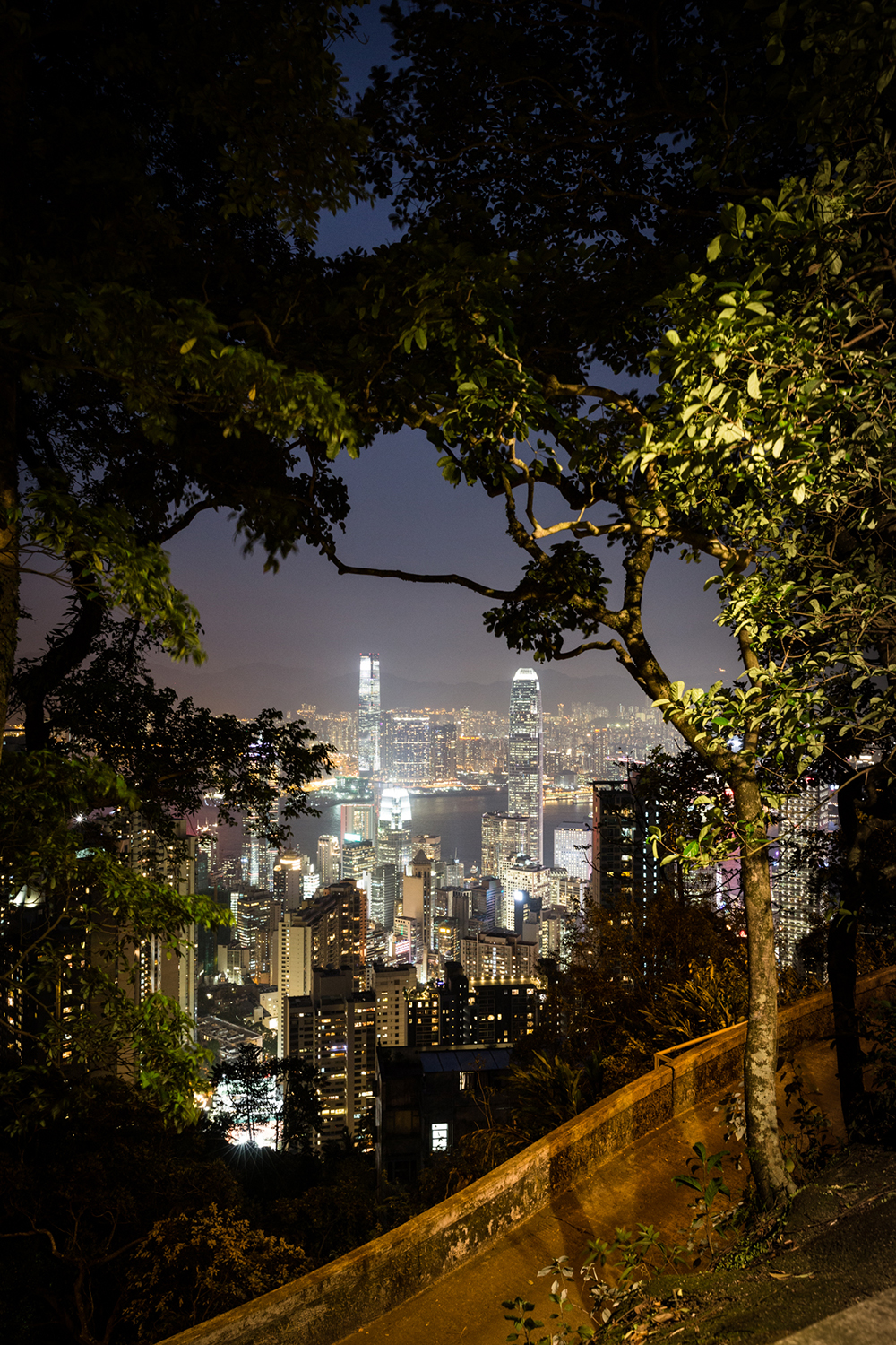 Vue depuis le sentier montant au Victoria peak. Au premier plan, Central, le quartier des affaires sur l'île de Hong-Kong, et derrière, la péninsule de Kowloon
